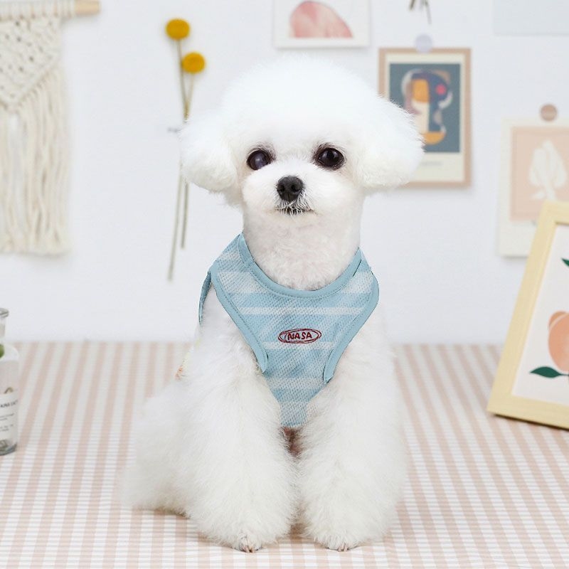 Gilet rayé Kawaii Chiikawa pou - Summer Away Clothing avis et prix